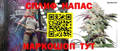 a pvp Кинель