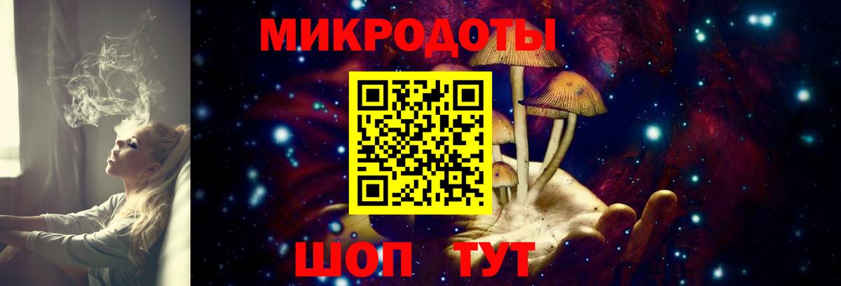 Псилоцибиновые грибы Cubensis Красноярск